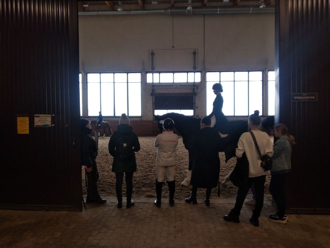 Дмитров, MAXIMA PARK, конный спорт