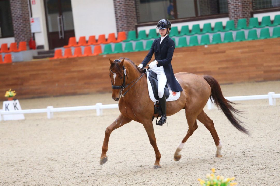 Дмитров, MAXIMA PARK, конный спорт