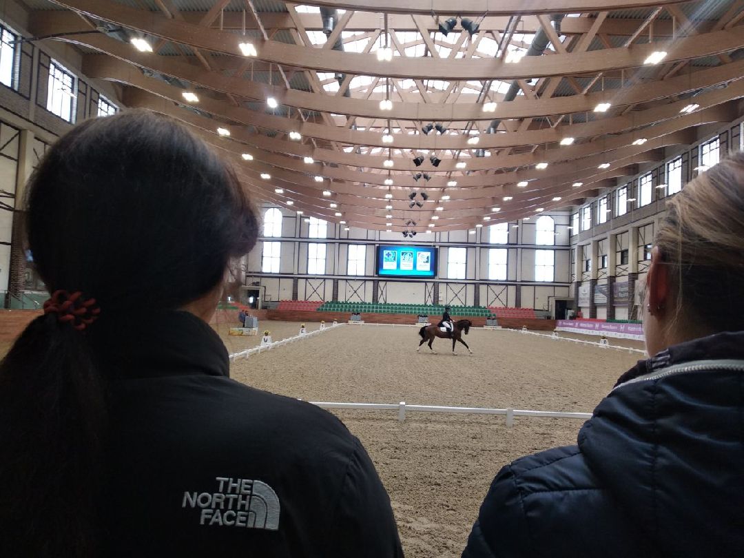 Дмитров, MAXIMA PARK, конный спорт