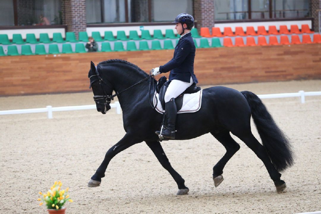 Дмитров, MAXIMA PARK, конный спорт