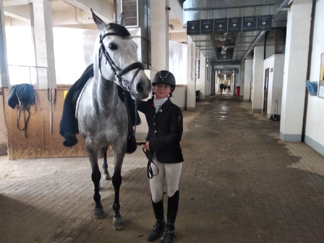 Дмитров, MAXIMA PARK, конный спорт