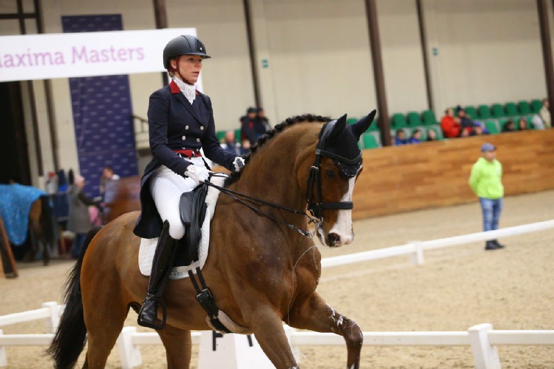 Дмитров, MAXIMA PARK, конный спорт