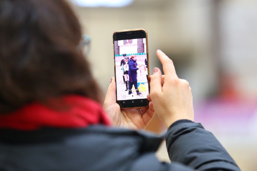 Дмитров, MAXIMA PARK, конный спорт