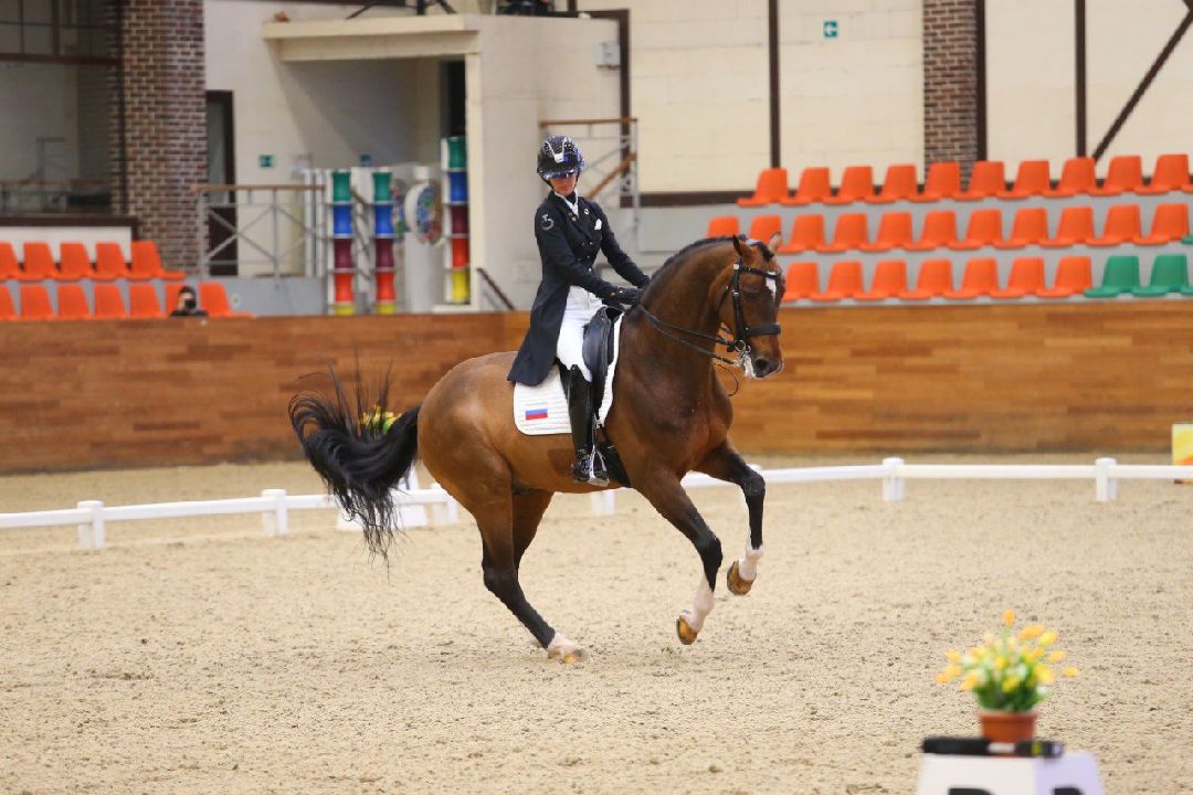 Дмитров, MAXIMA PARK, конный спорт