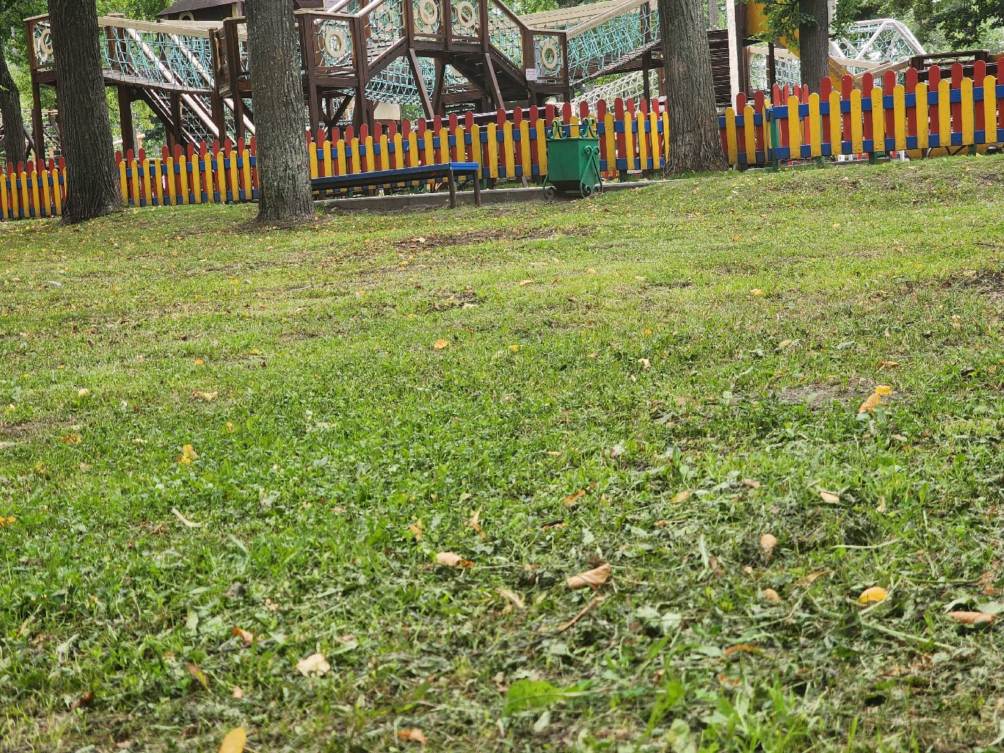 Павловский Посад, городской округ Павловский Посад, парк, лето, благоустройство, газон