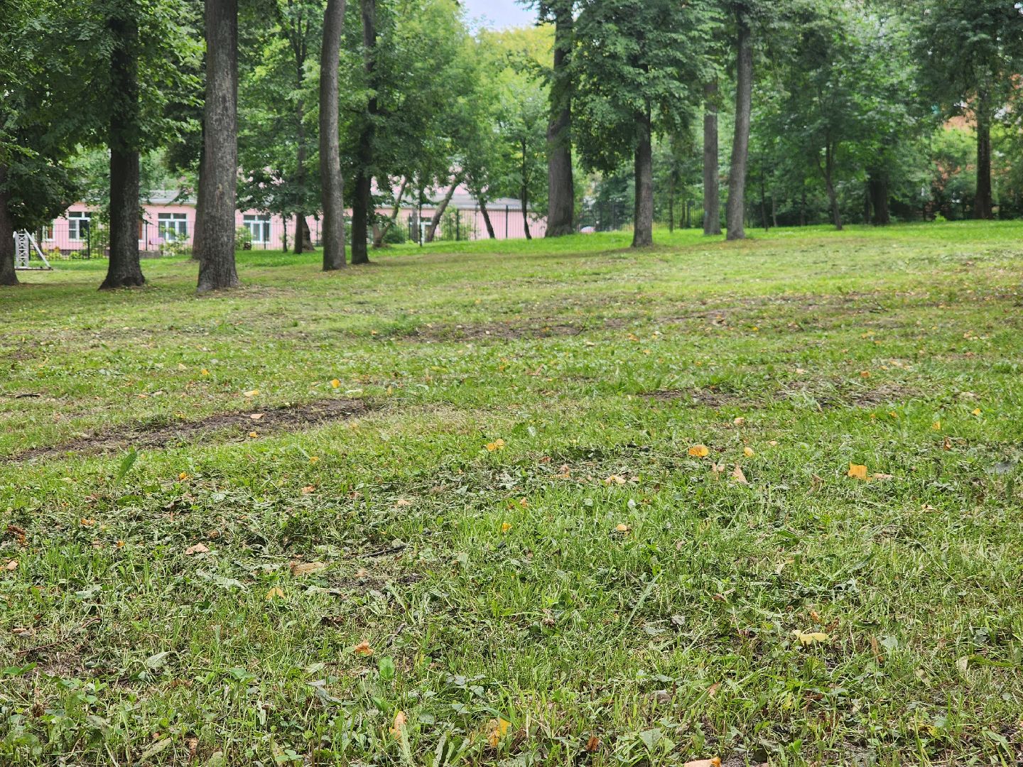 Павловский Посад, городской округ Павловский Посад, парк, лето, благоустройство, газон