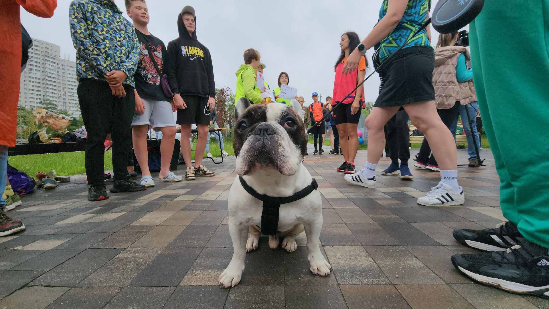 Пушкино, спорт, забег, марафон, общество, люди, 5 верст
