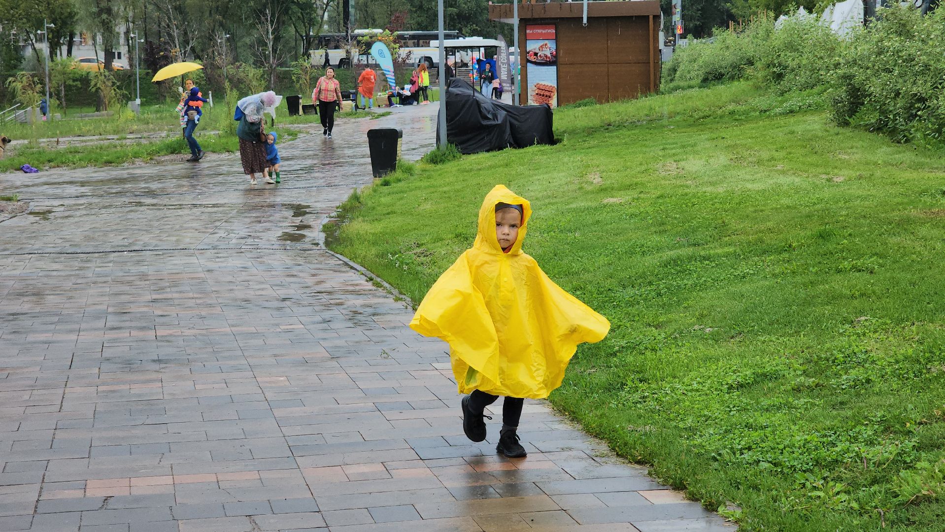 Пушкино, спорт, забег, марафон, общество, люди, 5 верст