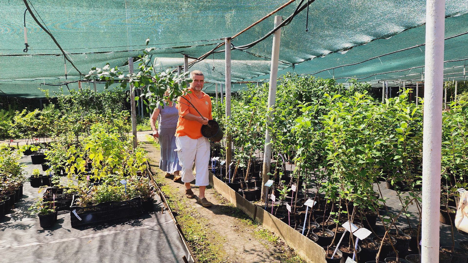 Подмосковье, Ивантеевка, экономика