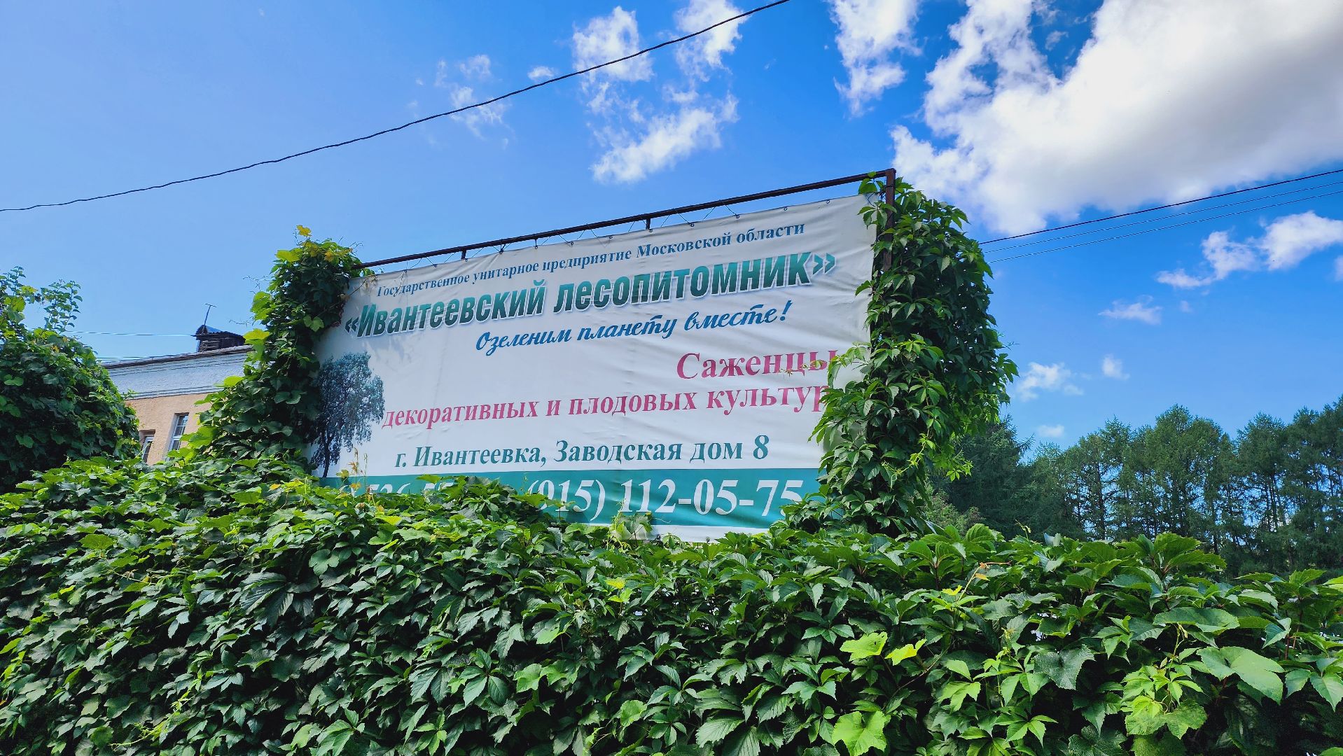 Подмосковье, Ивантеевка, экономика