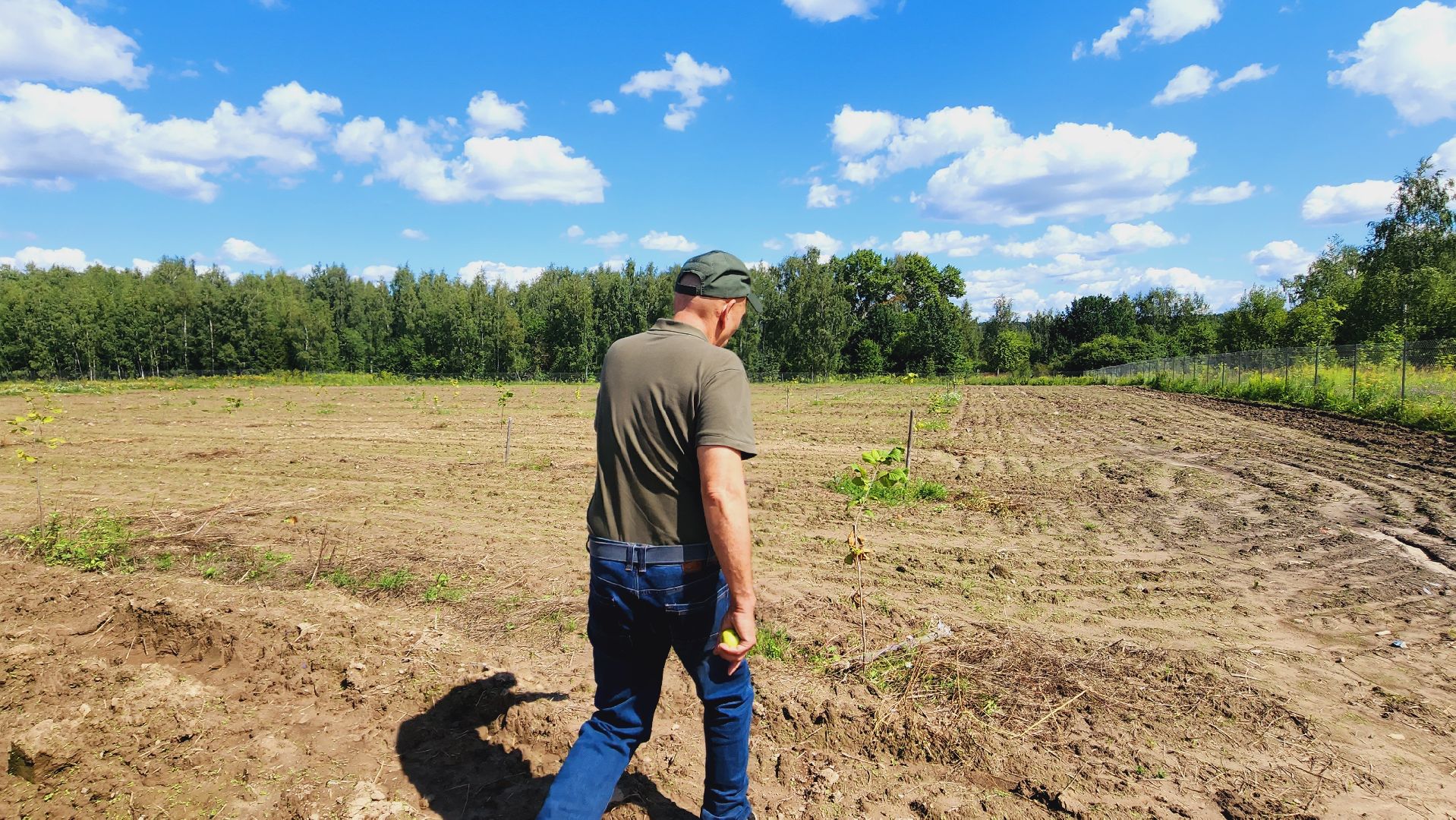 Подмосковье, Ивантеевка, экономика