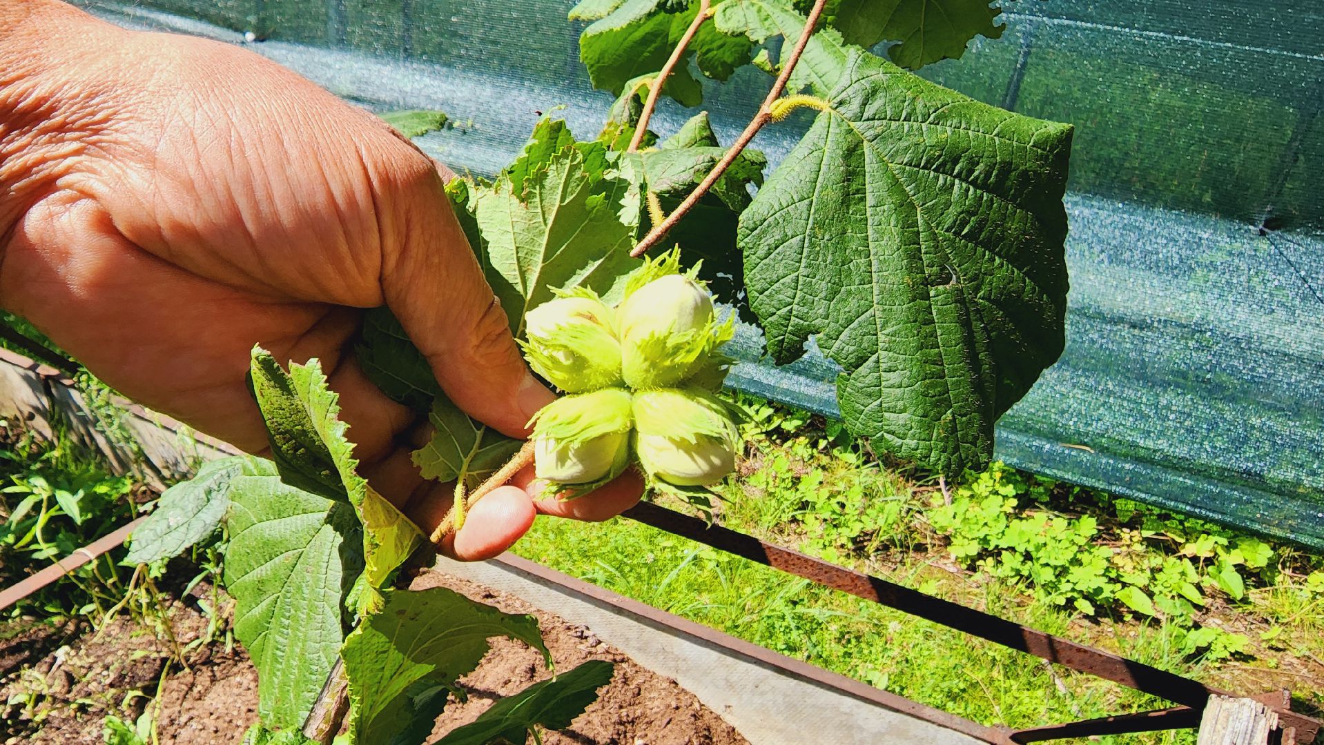 Подмосковье, Ивантеевка, экономика