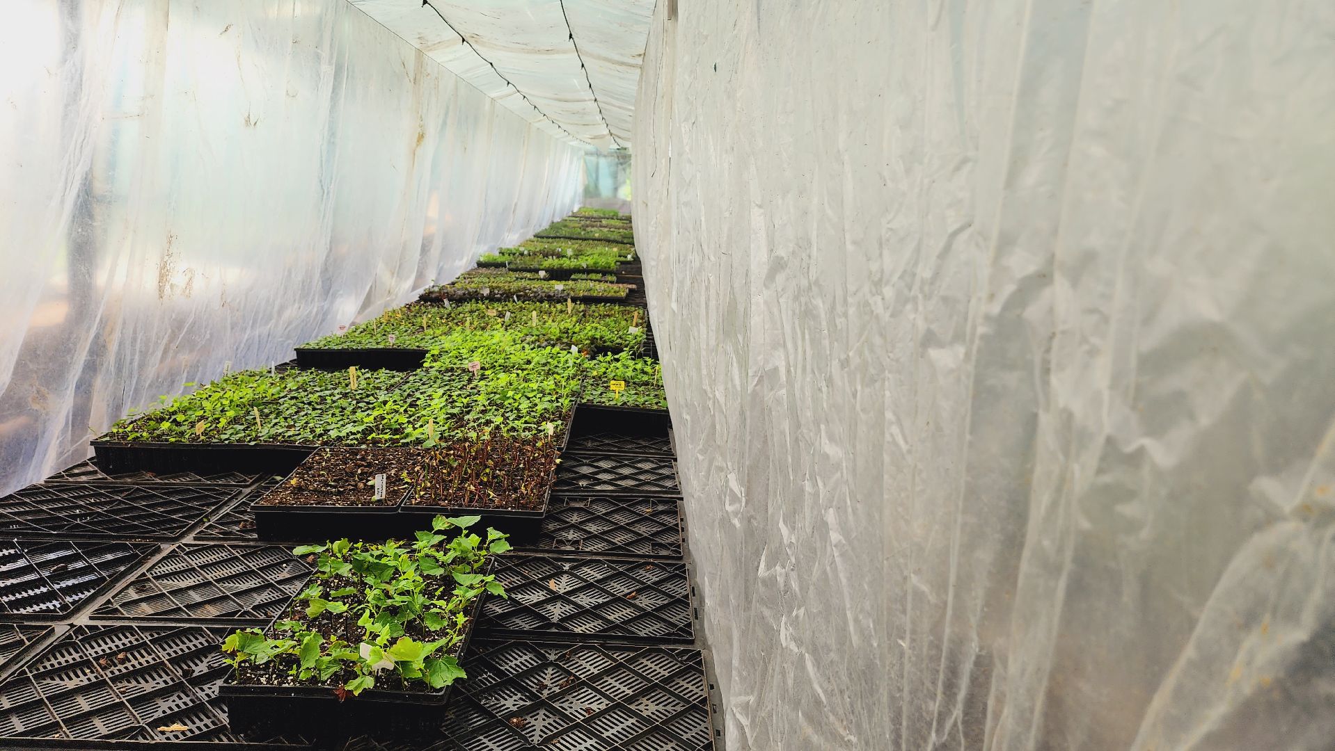 Подмосковье, Ивантеевка, экономика