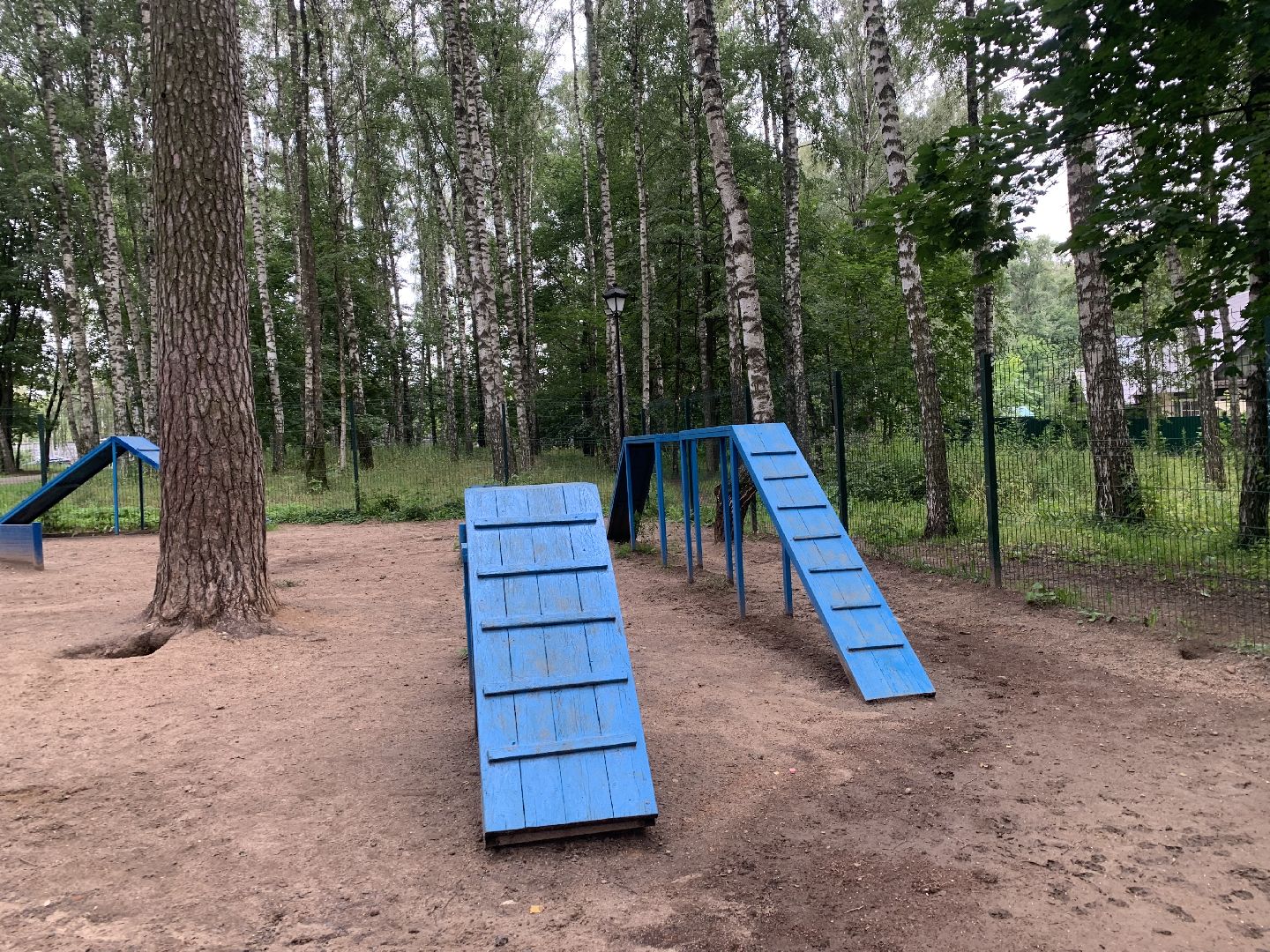 Собаки, Белаз, дрессировка, кинолог,немецкий боксер, Красногорск