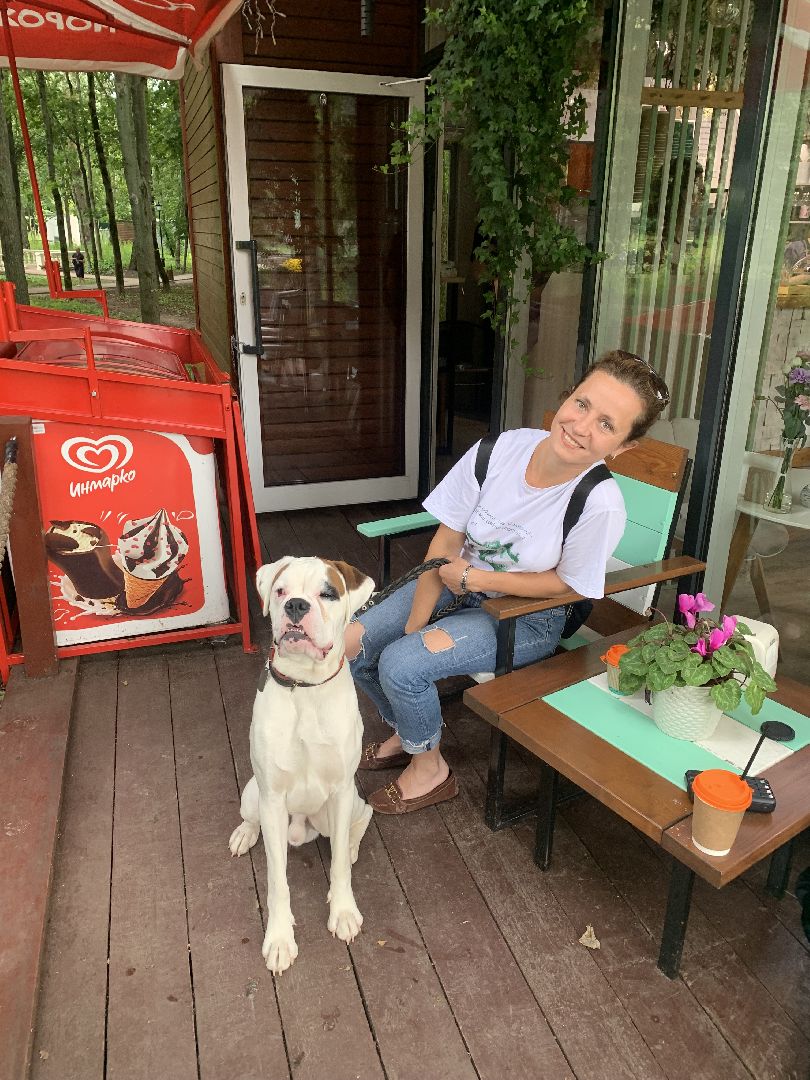 Собаки, Белаз, дрессировка, кинолог,немецкий боксер, Красногорск