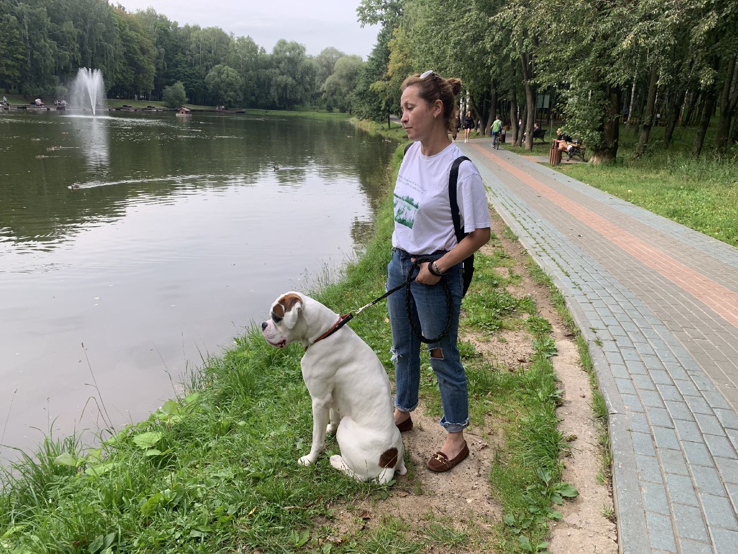 Собаки, Белаз, дрессировка, кинолог,немецкий боксер, Красногорск