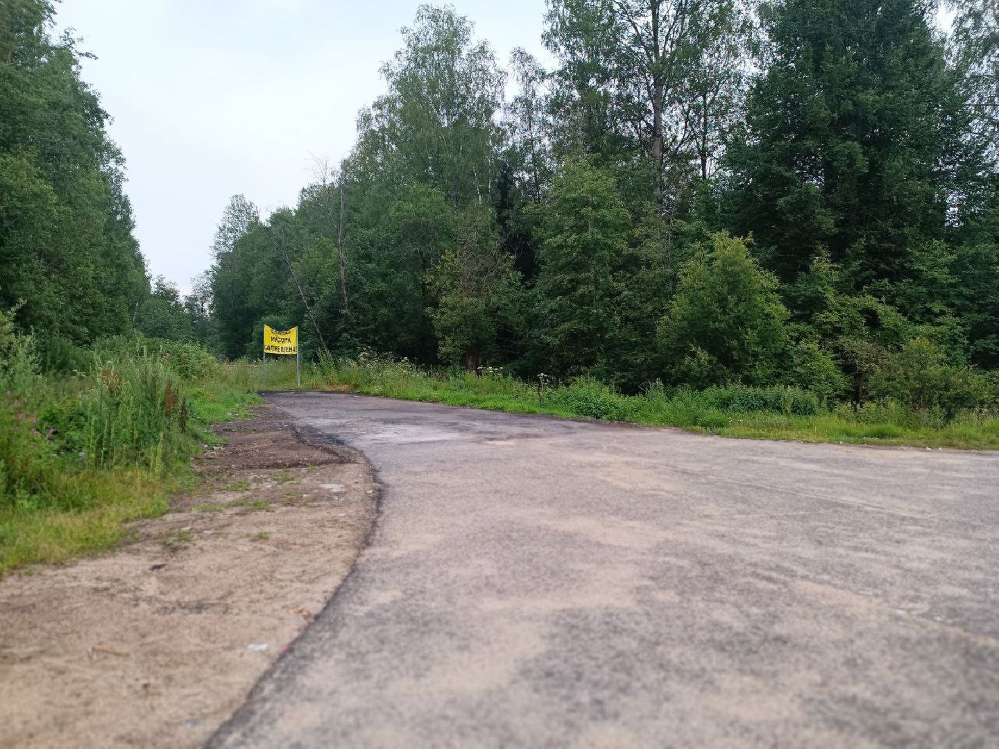 Можайск, Можайский городской округ, Подмосковье, мусор, дороги, проблема, решение, жители, жалобы, свалки, вывоз мусора, ТКО, ГКО