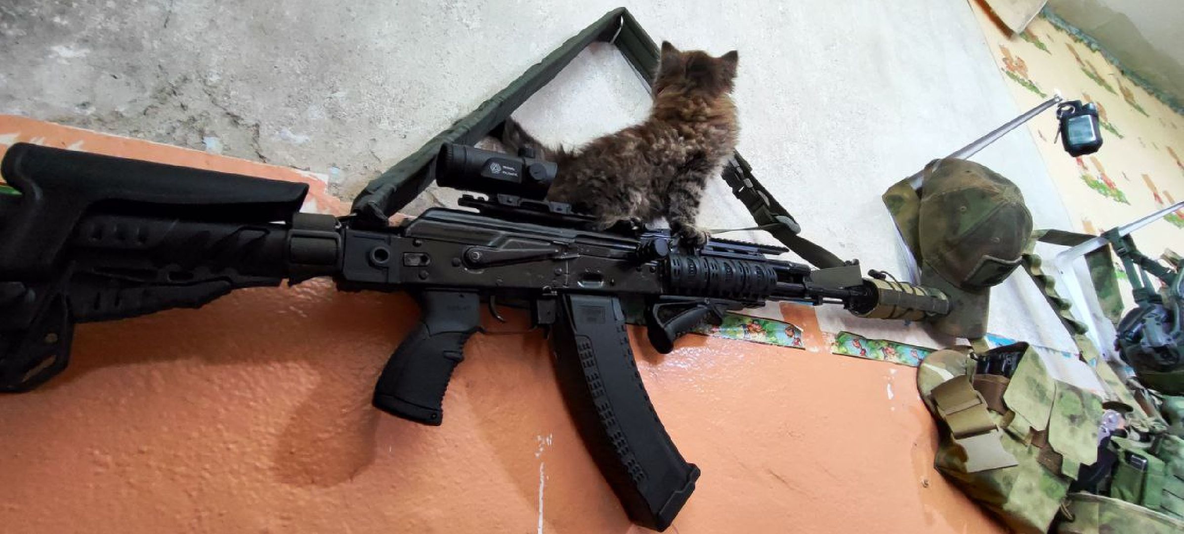 Можайск, Можайский городской округ, Подмосковье, СВО, доброволец, спецоперация, медаль, Суворов, награда, боевые задачи, армия РФ