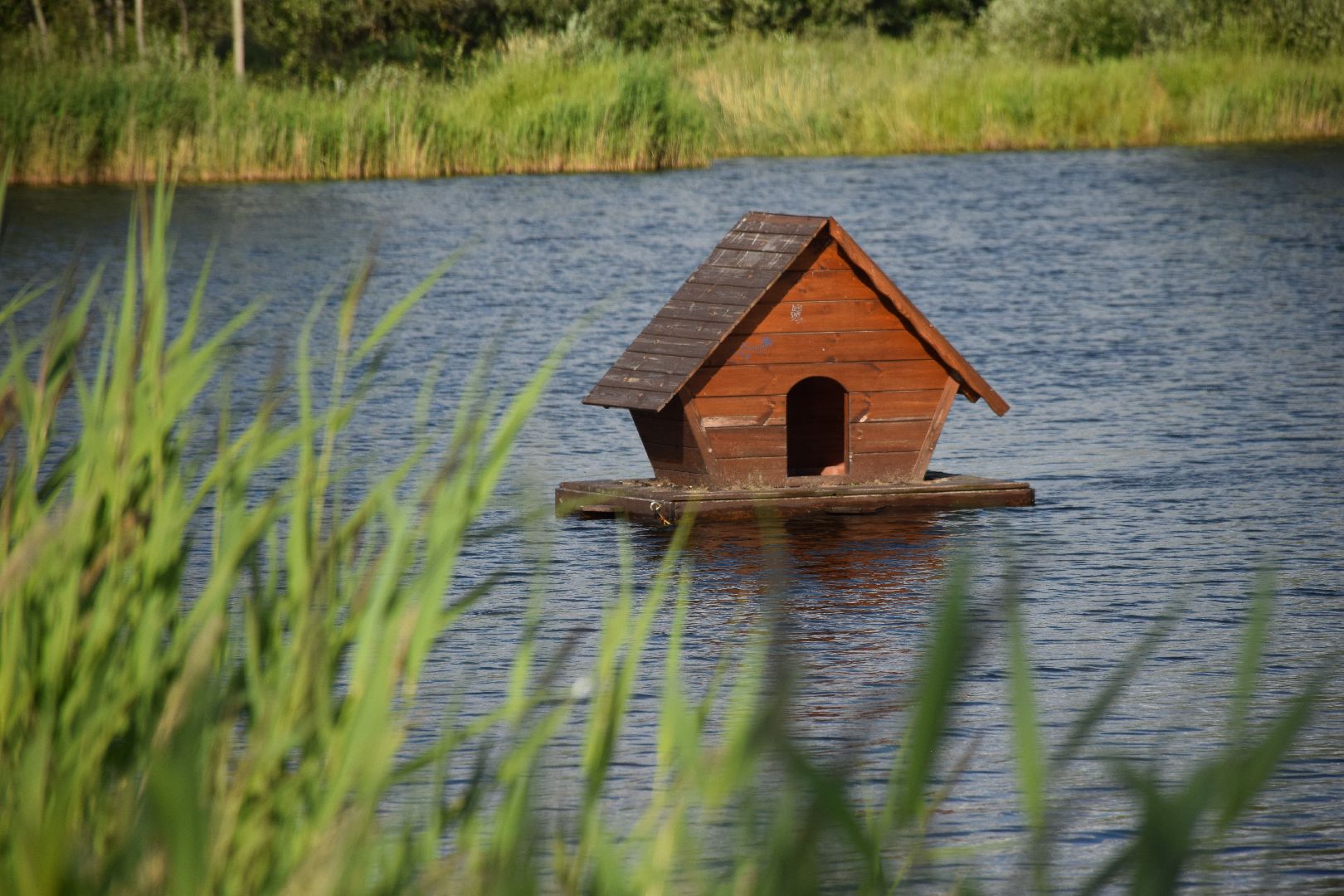 Павловский Посад, городской округ Павловский Посад, пляж, отдых, выходные, деревня