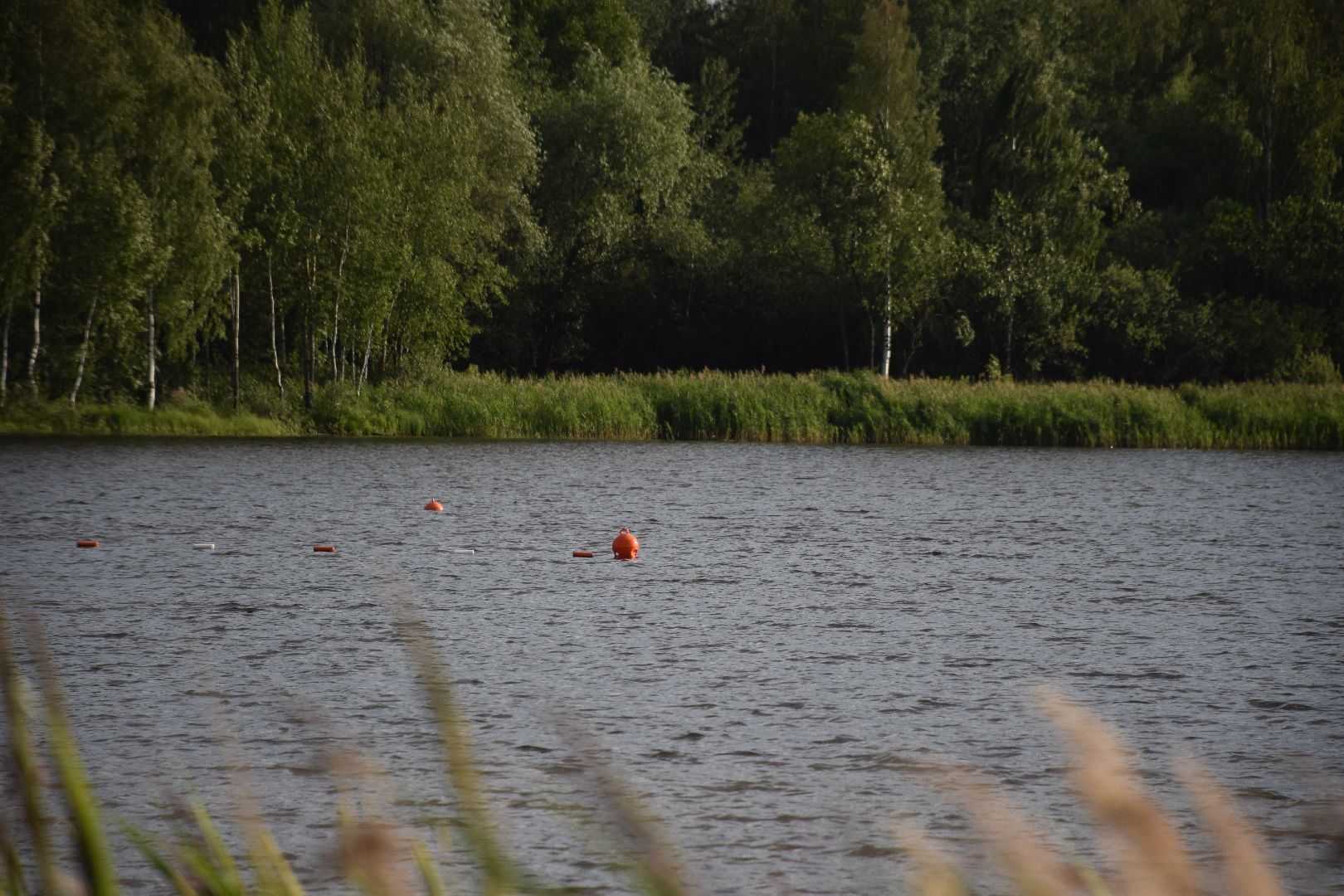 Павловский Посад, городской округ Павловский Посад, пляж, отдых, выходные, деревня