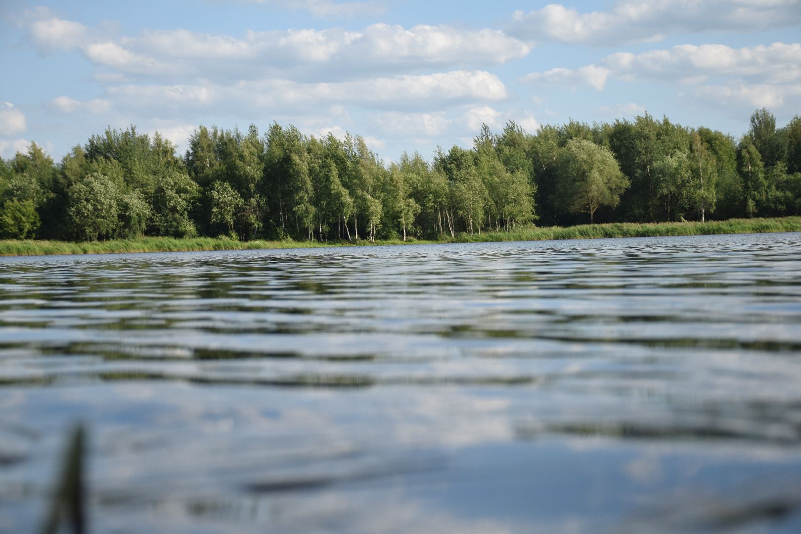 Павловский Посад, городской округ Павловский Посад, пляж, отдых, выходные, деревня