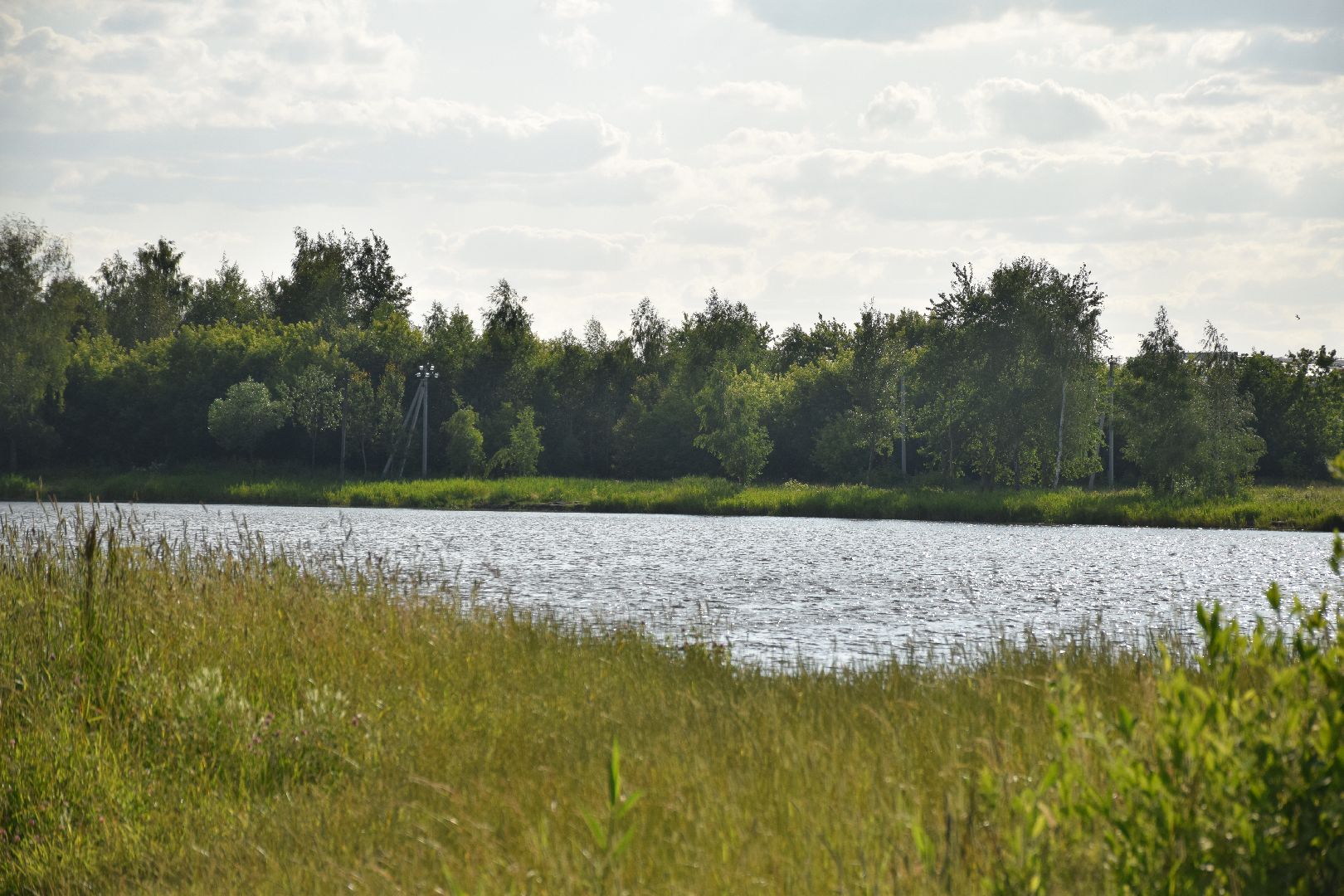 Павловский Посад, городской округ Павловский Посад, пляж, отдых, выходные, деревня