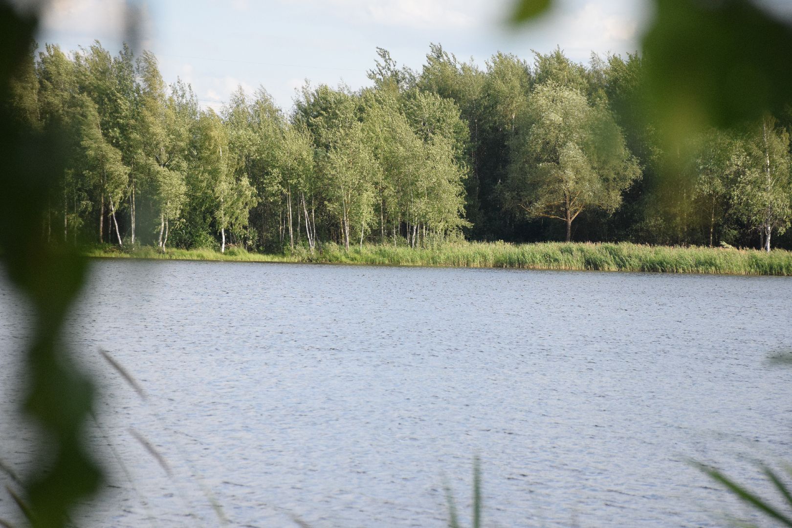 Павловский Посад, городской округ Павловский Посад, пляж, отдых, выходные, деревня