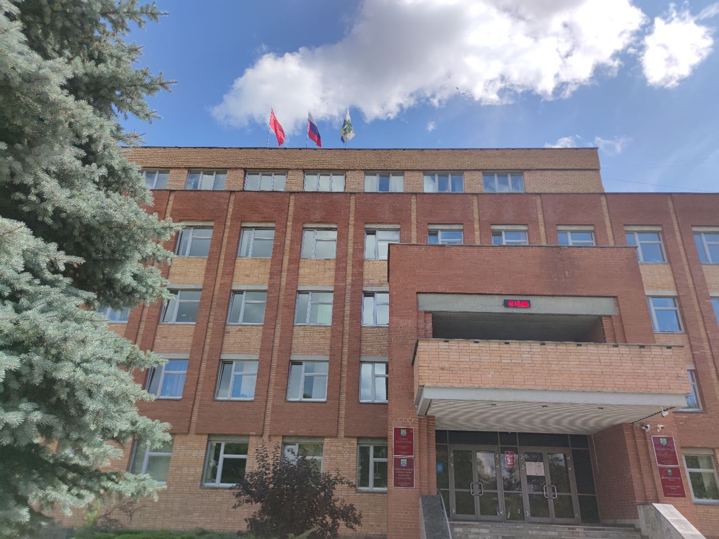 Общественные наблюдатели, выборы, общественная палата, Дубна