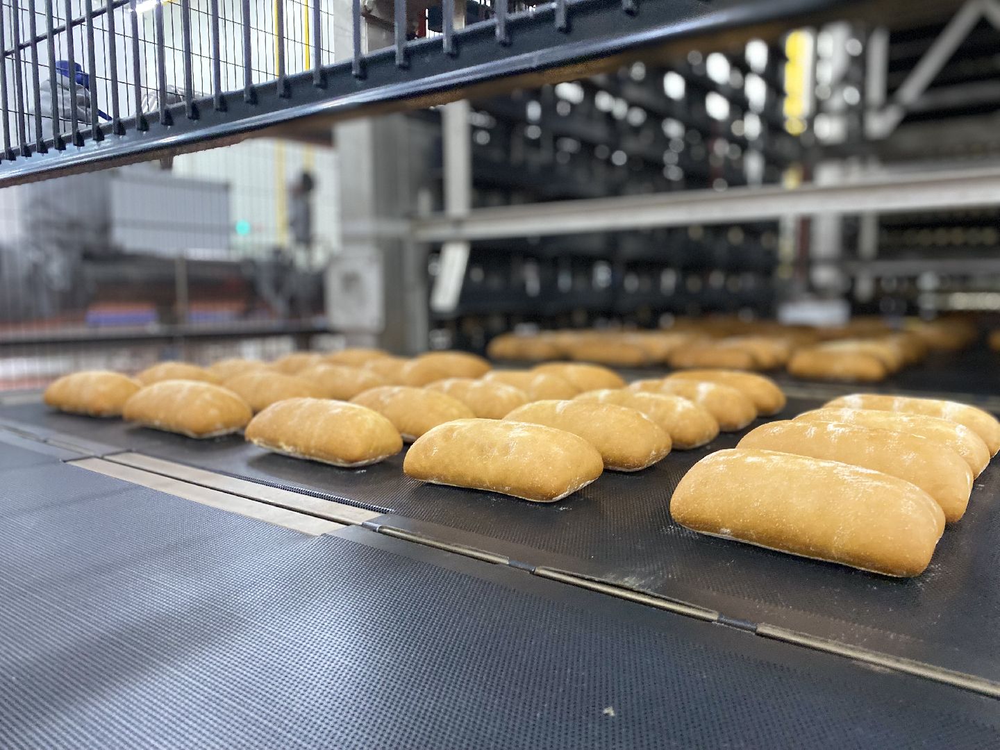 Домодедово, фабрика кухня, пищевая отрасль, пищевое производство, наладчик линий, вспомогательные процессы, карьера пакаря