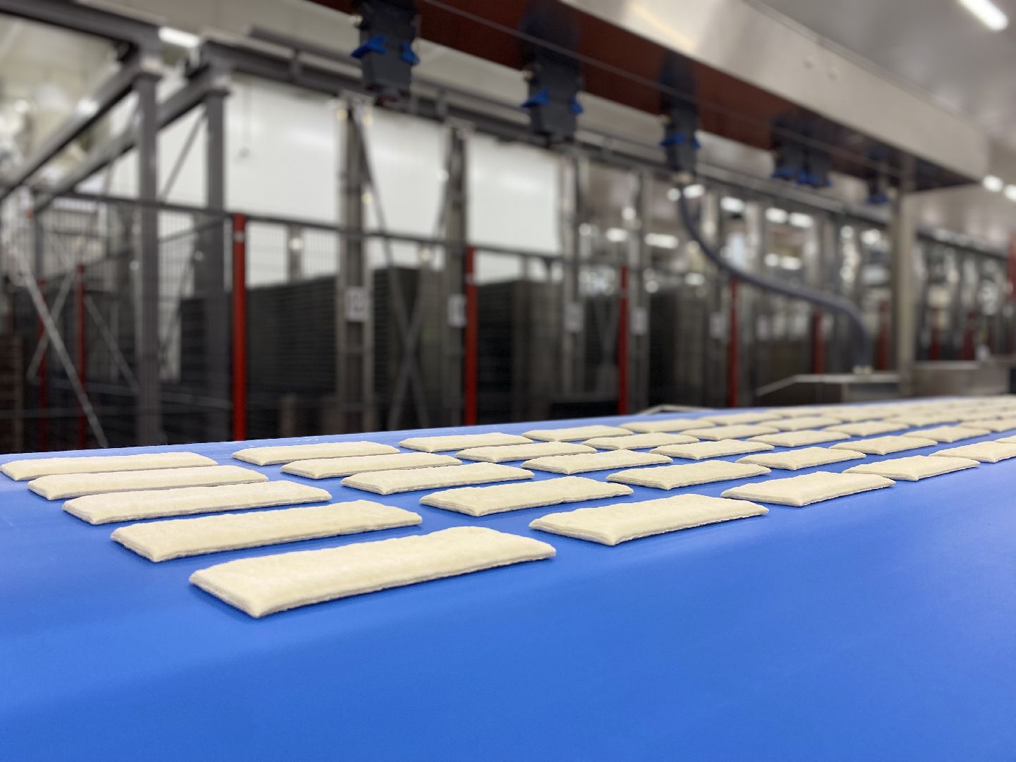 Домодедово, фабрика кухня, пищевая отрасль, пищевое производство, наладчик линий, вспомогательные процессы, карьера пакаря