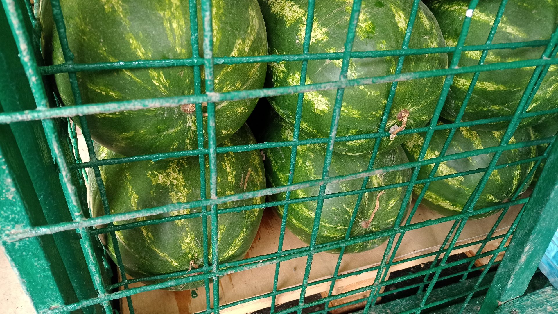 Реутов, бахчевые развалы, арбузы, дыни, сезон ягод, лето