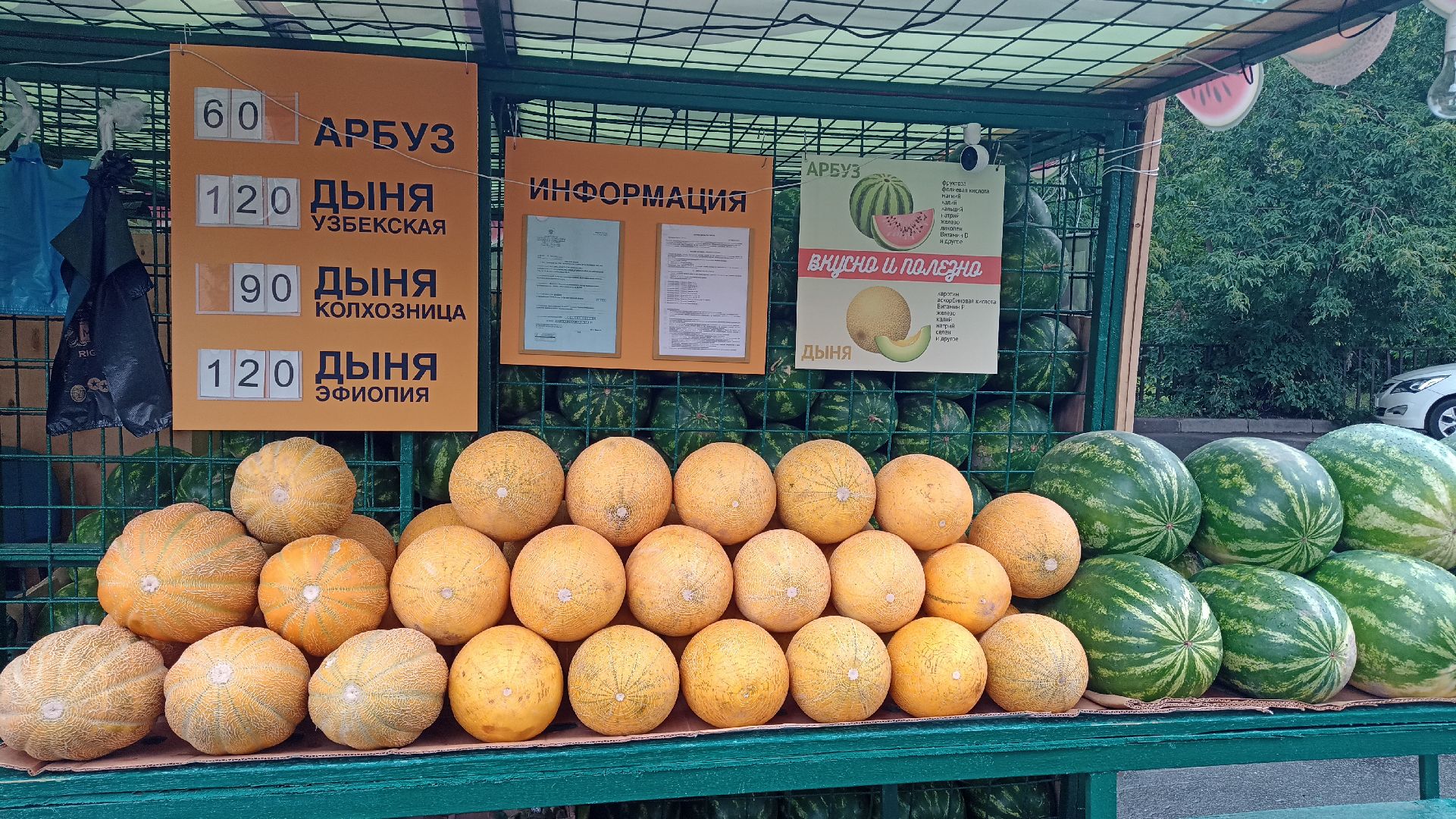 Реутов, бахчевые развалы, арбузы, дыни, сезон ягод, лето