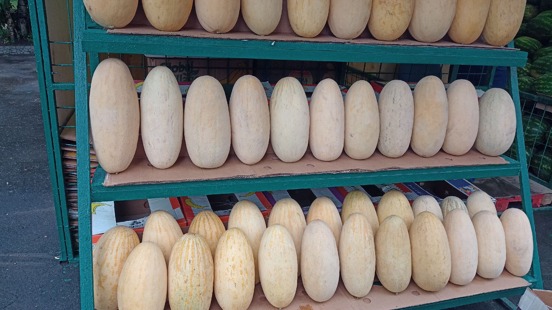 Реутов, бахчевые развалы, арбузы, дыни, сезон ягод, лето