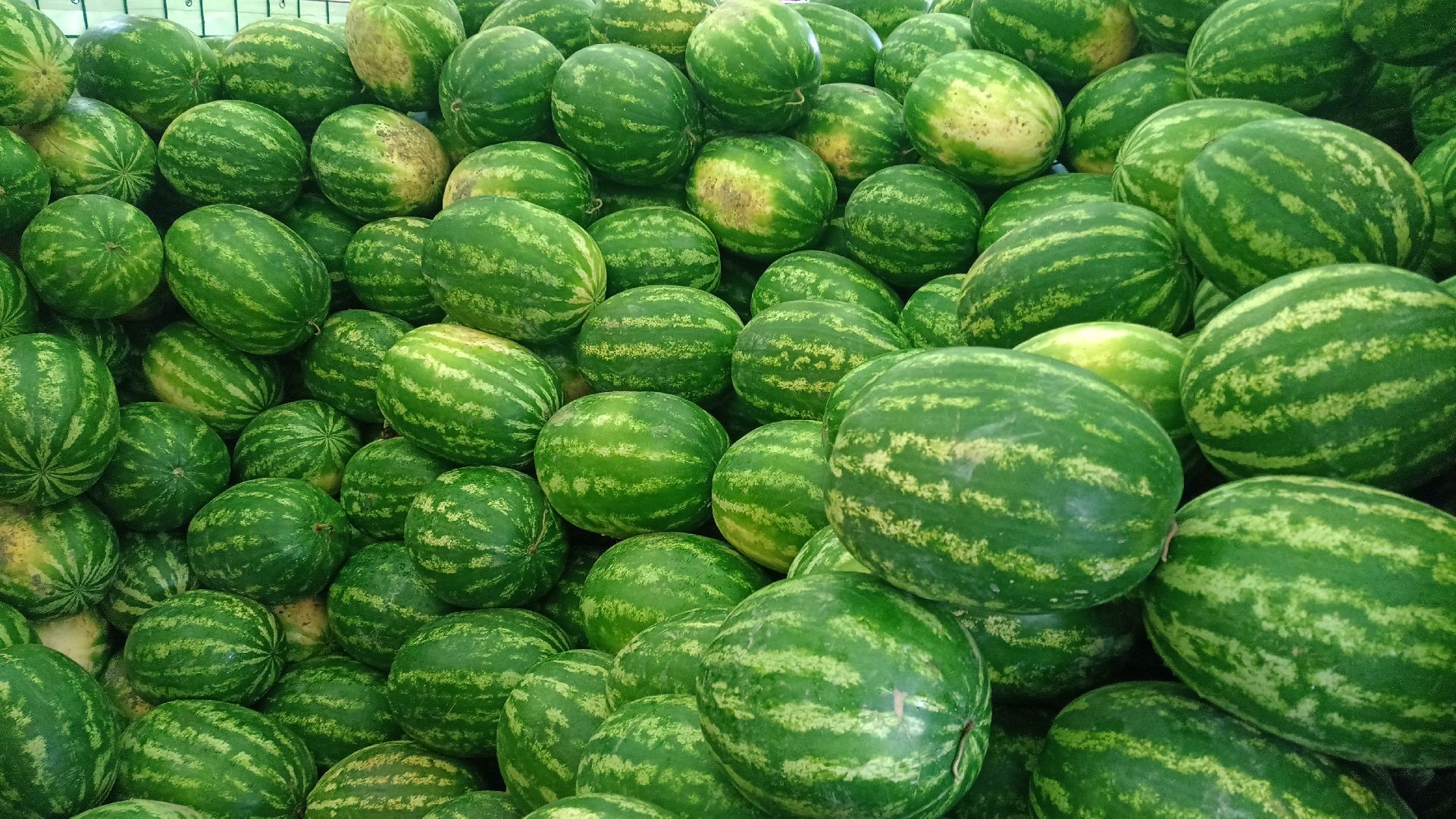 Реутов, бахчевые развалы, арбузы, дыни, сезон ягод, лето