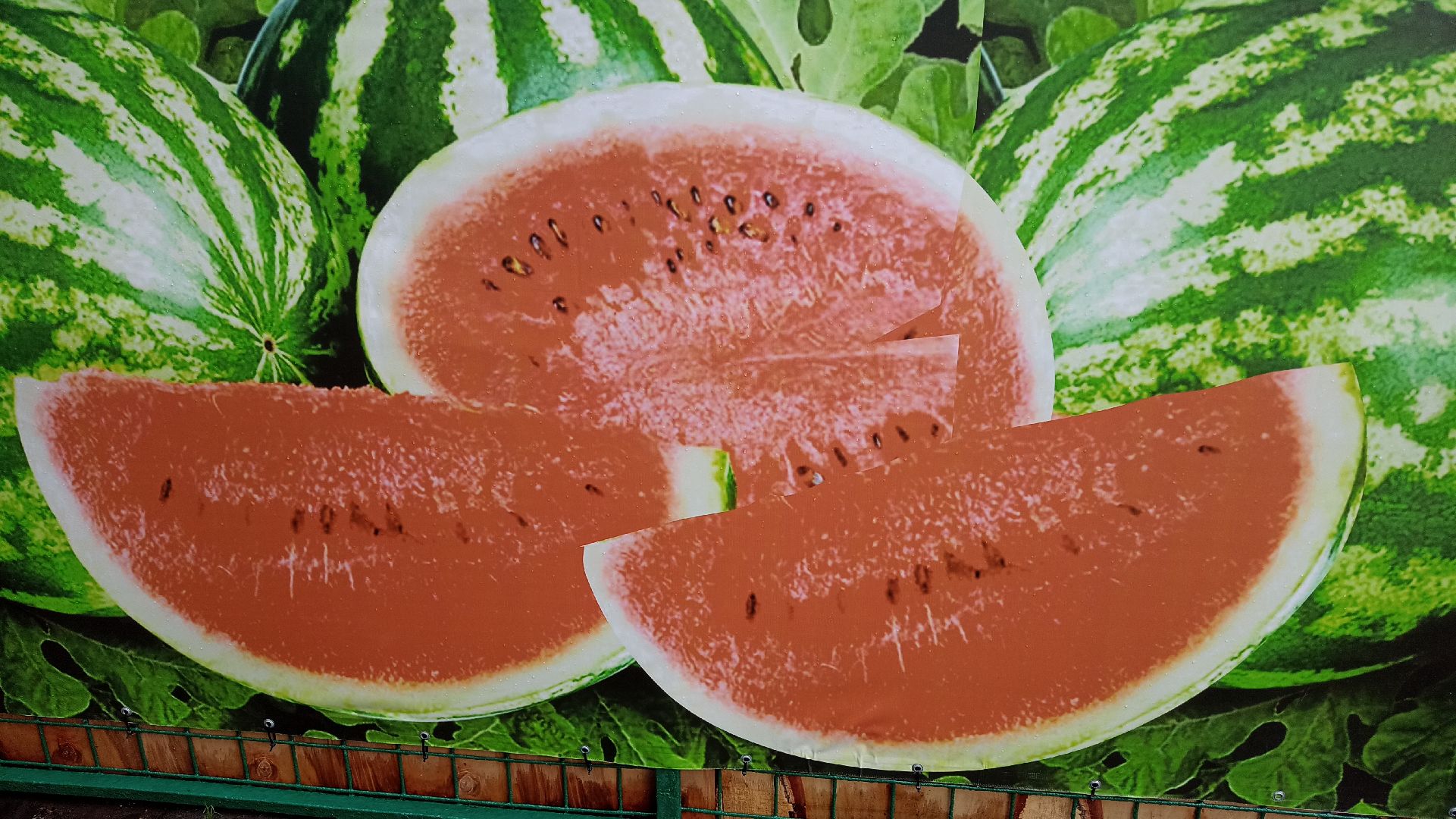 Реутов, бахчевые развалы, арбузы, дыни, сезон ягод, лето