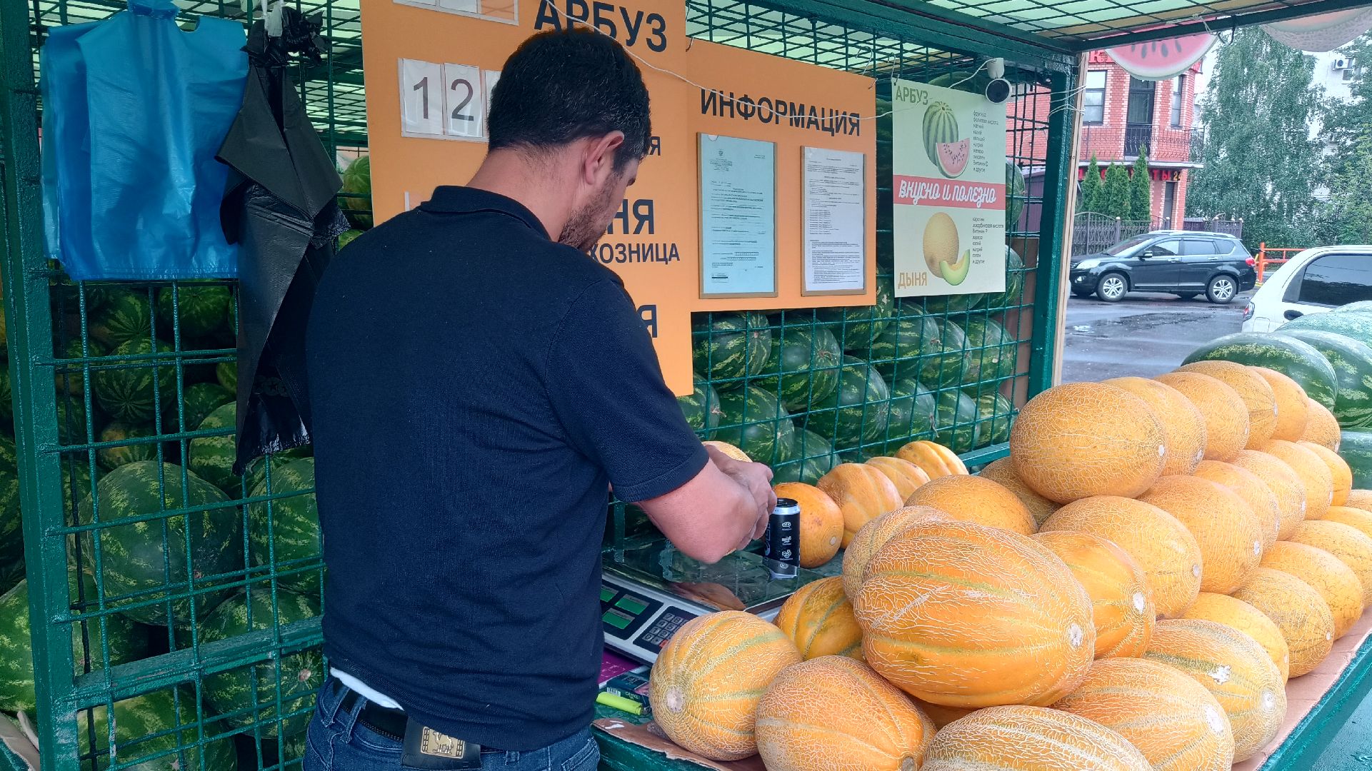 Реутов, бахчевые развалы, арбузы, дыни, сезон ягод, лето