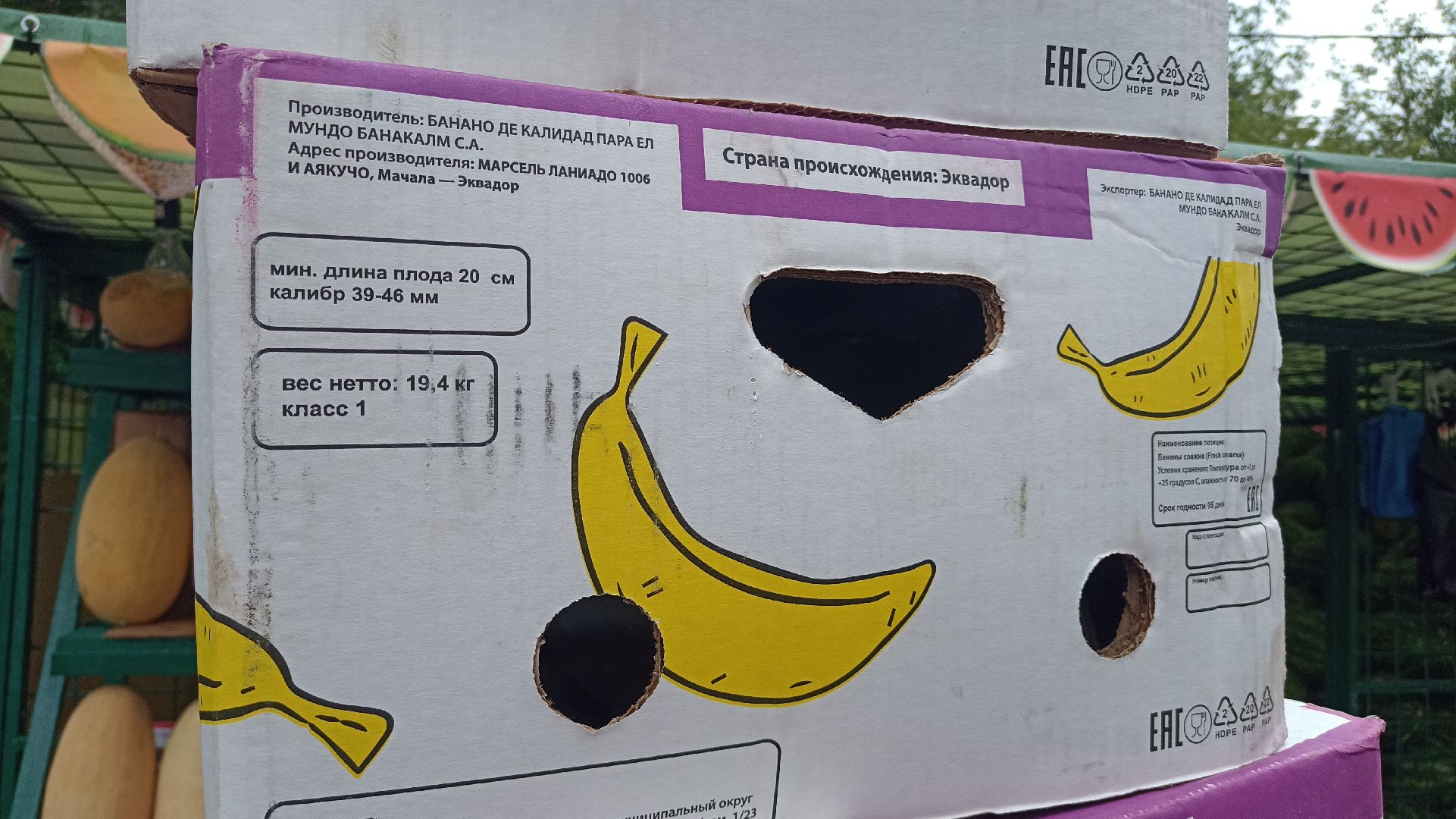 Реутов, бахчевые развалы, арбузы, дыни, сезон ягод, лето