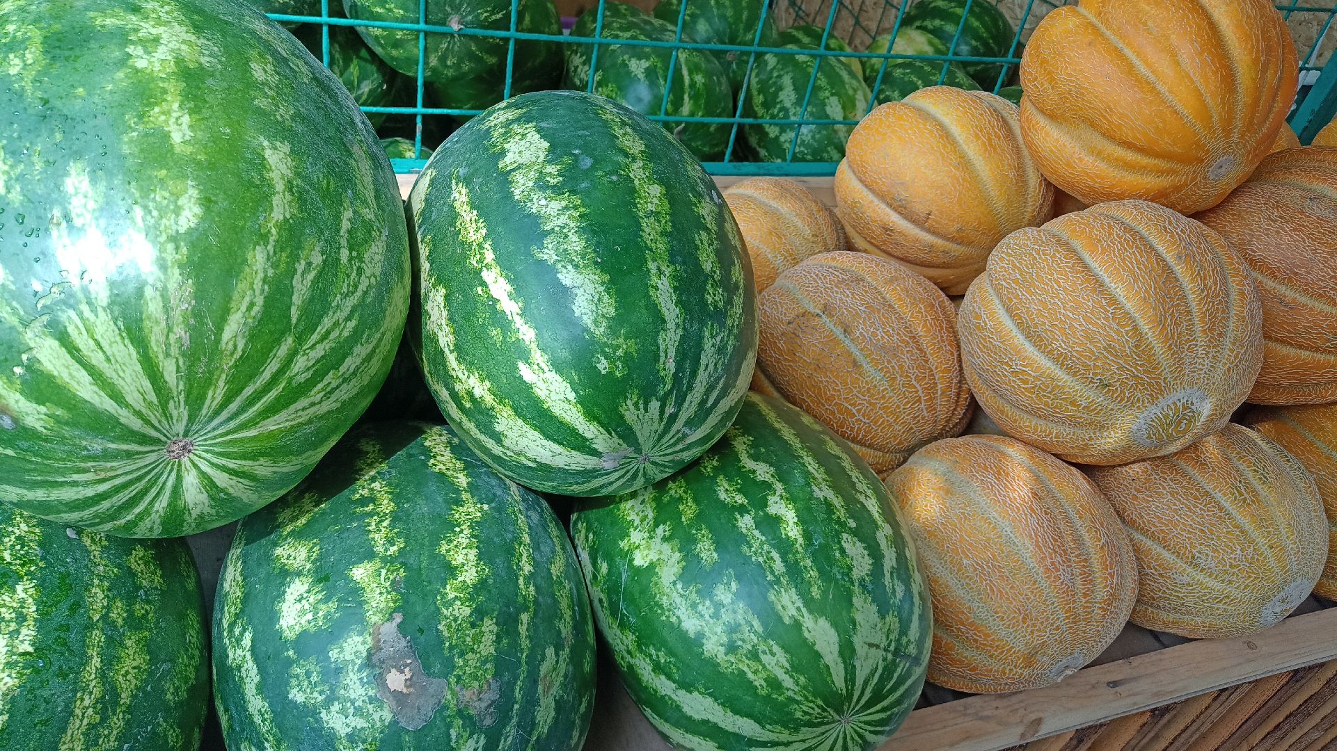 Реутов, бахчевые развалы, арбузы, дыни, сезон ягод, лето