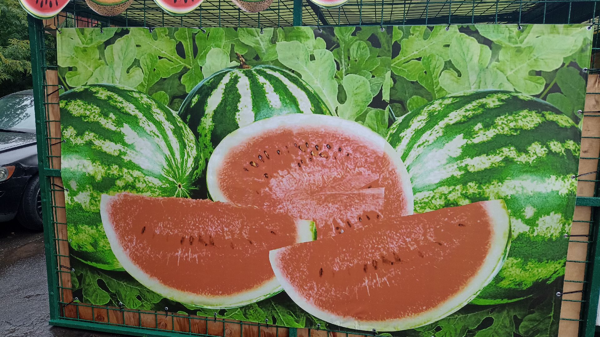 Реутов, бахчевые развалы, арбузы, дыни, сезон ягод, лето