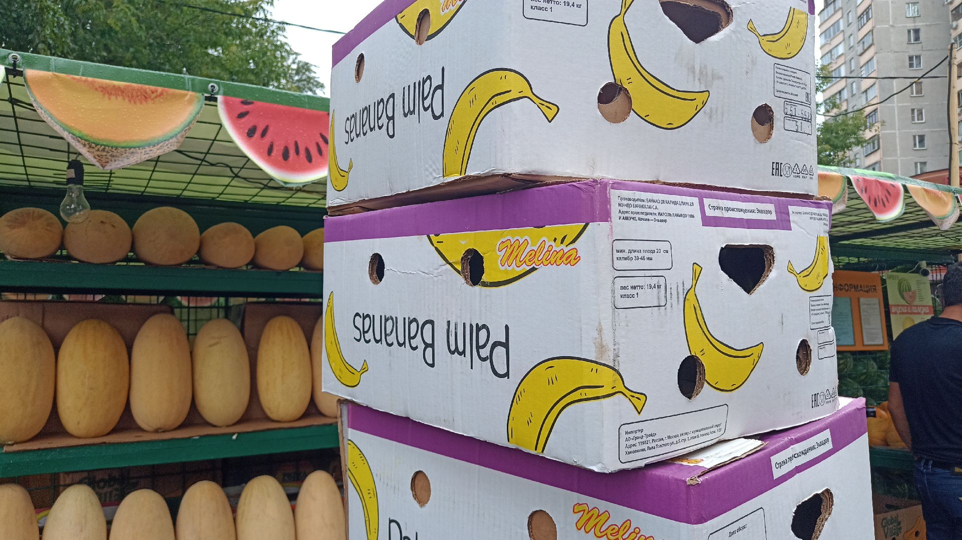 Реутов, бахчевые развалы, арбузы, дыни, сезон ягод, лето