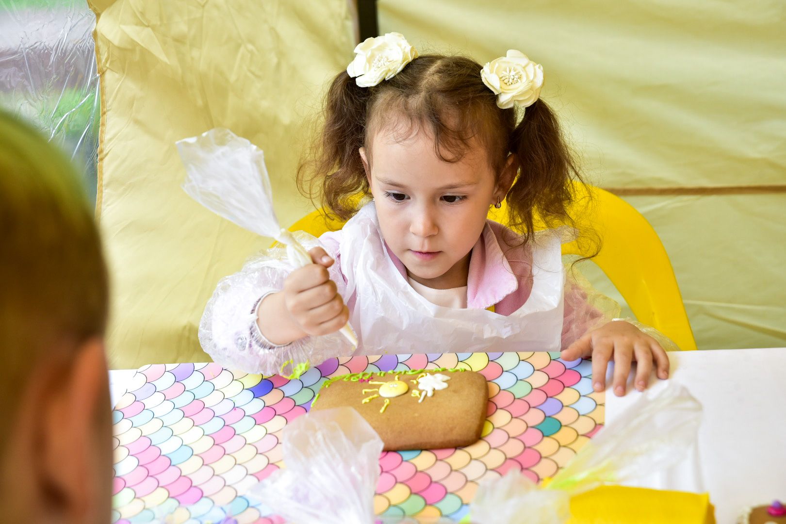 Солнечногорск, праздник, территория, солнца, фестиваль