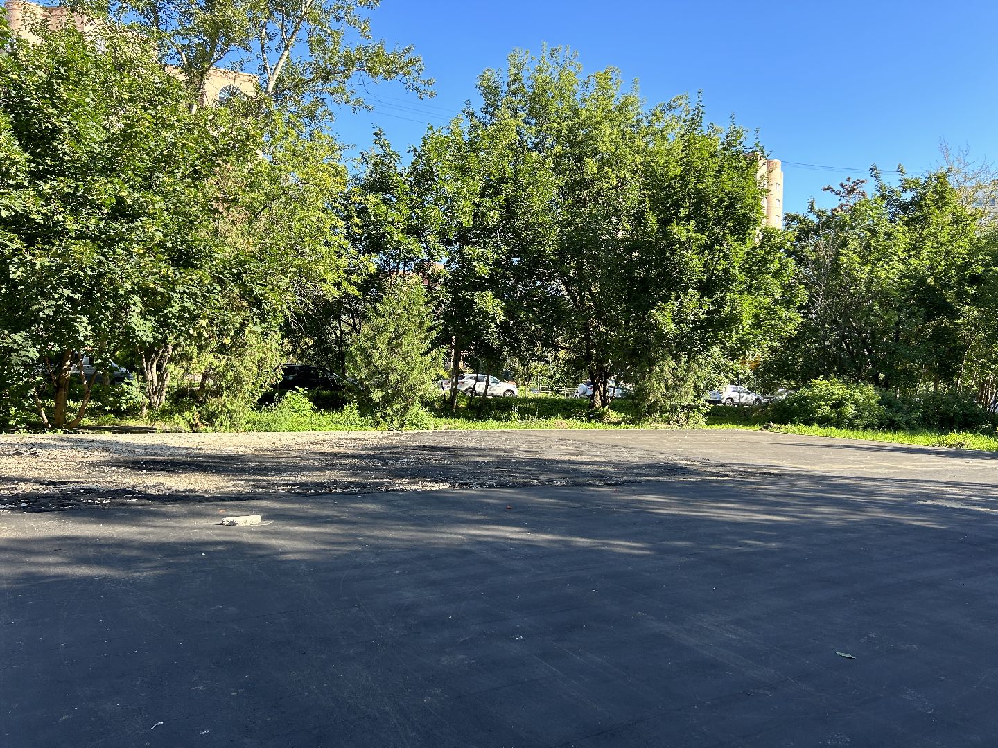 детская площадка, Фрязино, программа губернатора