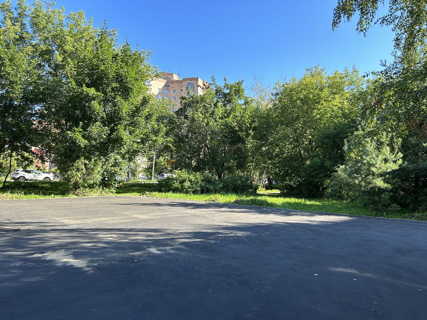 детская площадка, Фрязино, программа губернатора