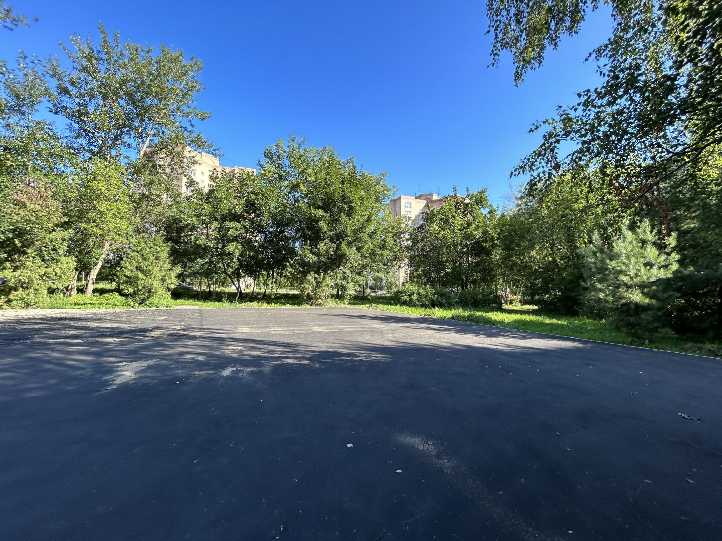 детская площадка, Фрязино, программа губернатора