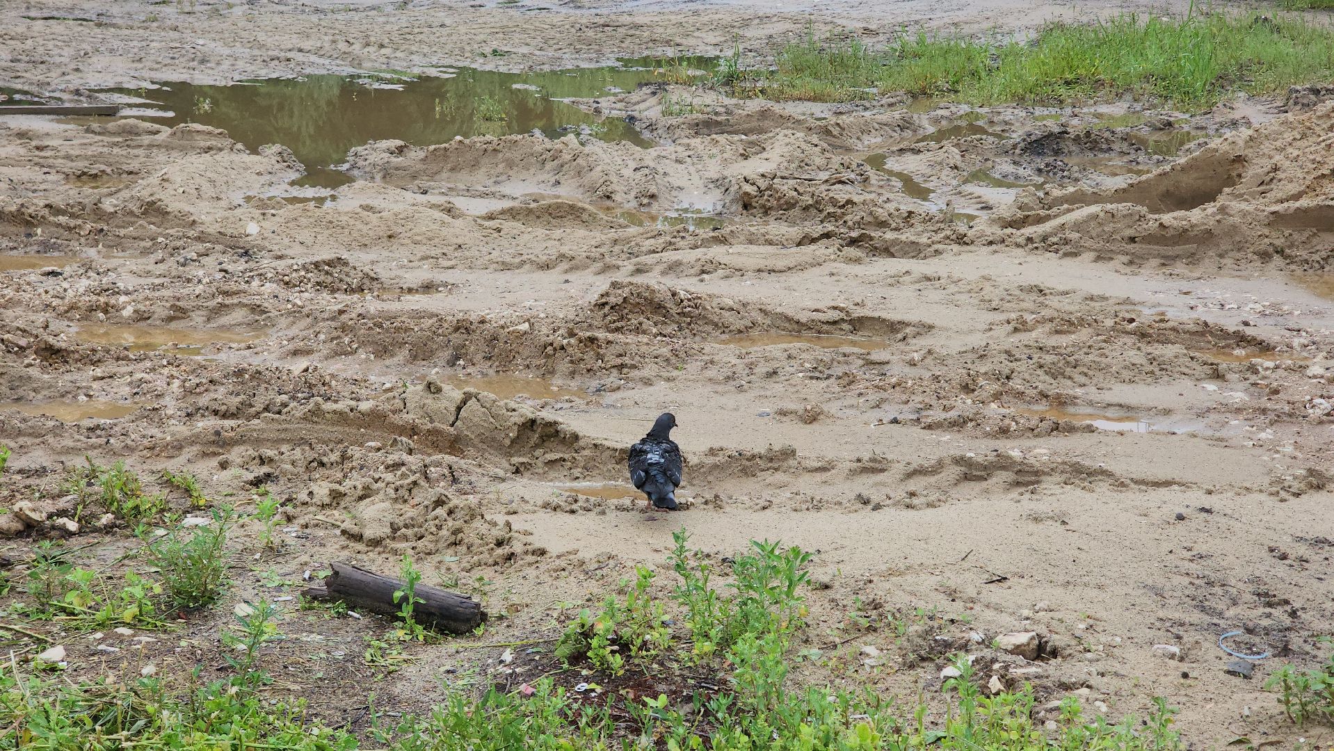 Пушкино, ЖКХ,