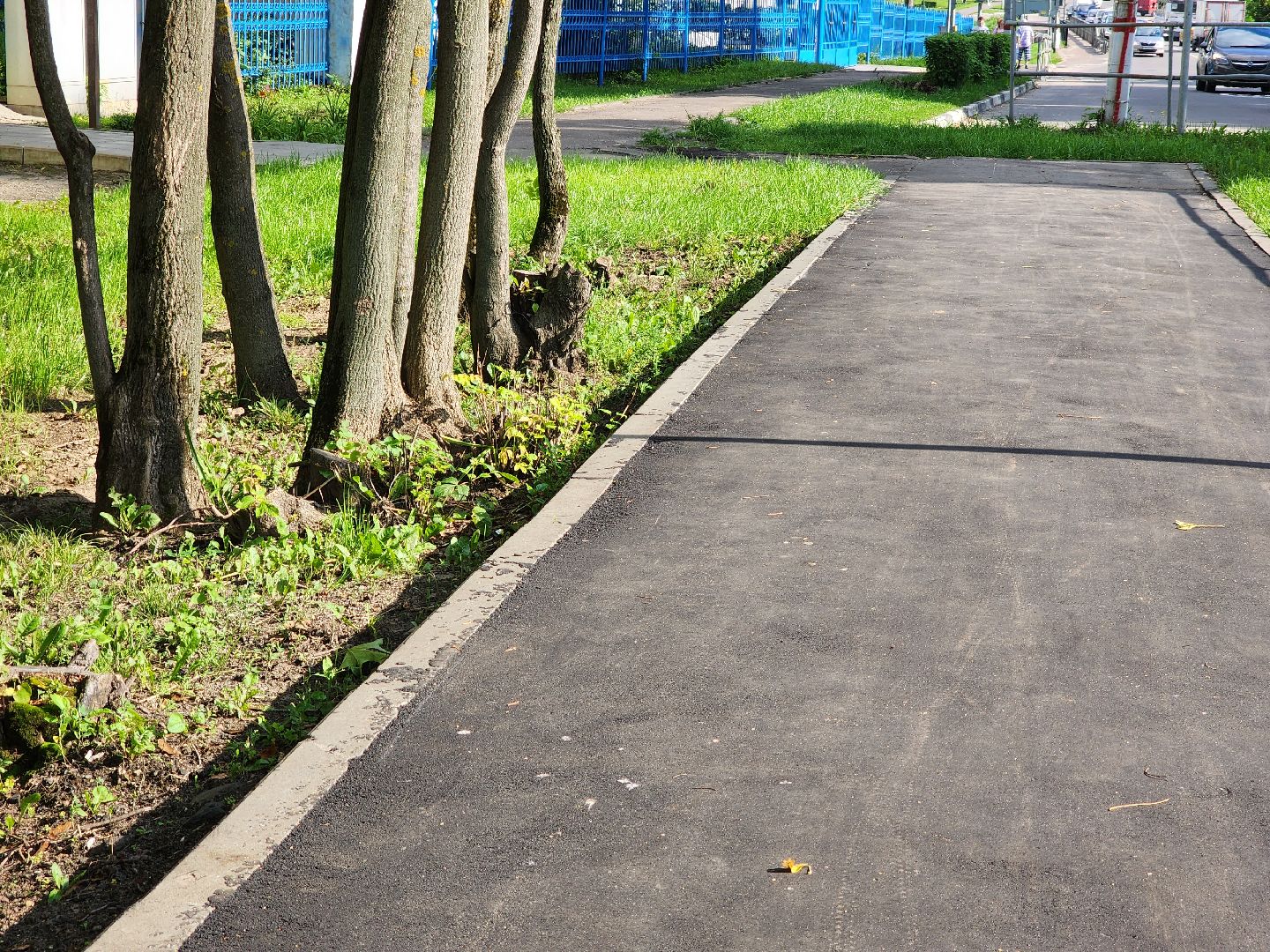 Новый тротуар, школа №18, Павловский Посад, ремонт, благоустройство