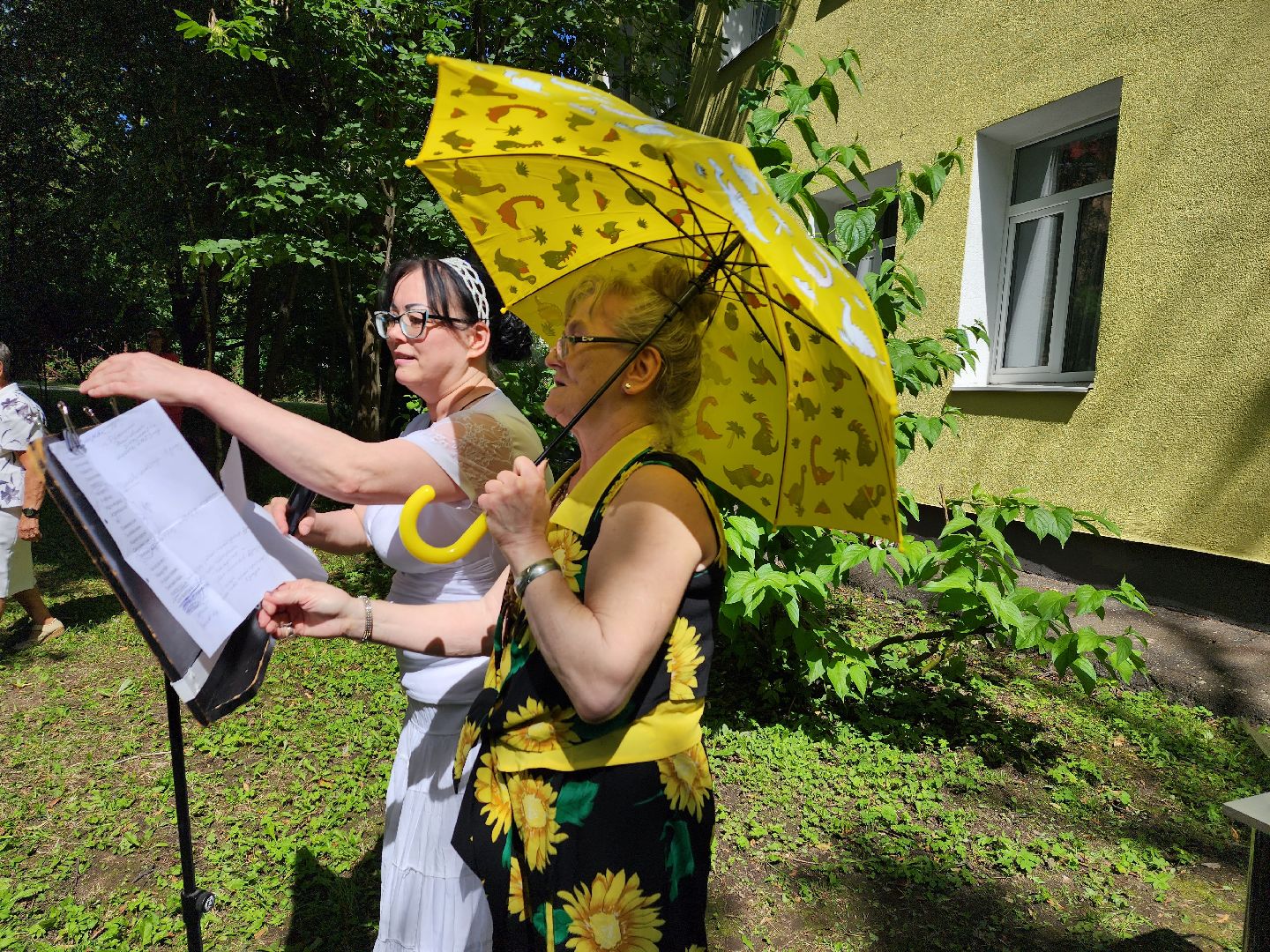 концерт, доброе дело, пенсионеры, Пушкино