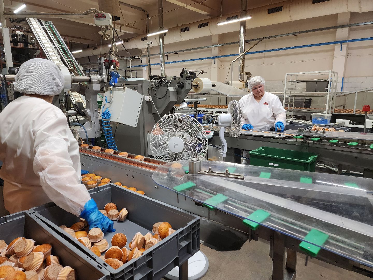 Раменское, экономика, Раменский кондитерский комбинат запустил новую линейку продуктов здорового питания