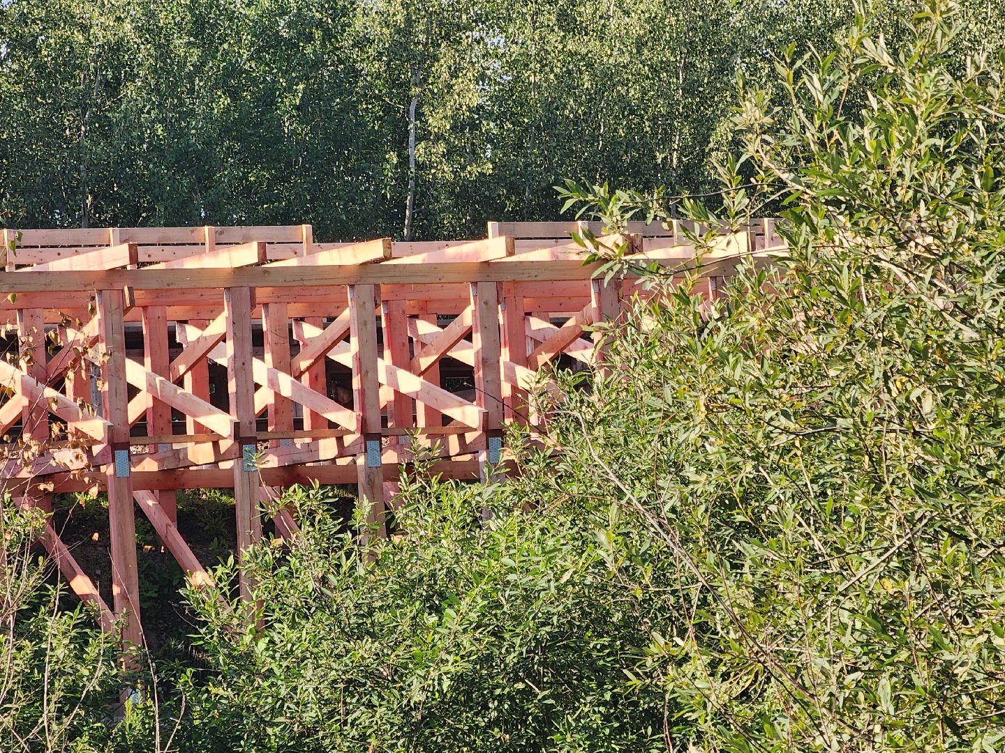 Павловский Посад, городской округ Павловский Посад, транспорт, дорога, станция, Вохна