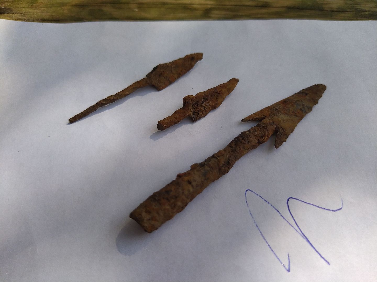 Коломна, Археология, История, Культура